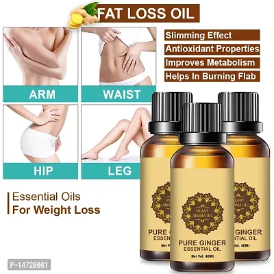 Ginger Essential Oil | Ginger Oil Fat Loss | nbsp;Fat Burning Oil, Slimming oil, Fat Burner, Anti Cellulite  Skin Toning Slimming Oil For Stomach, Hips  Thigh Fat loss fat go slimming weight loss body fitness oilnbsp; (40ML) (PACK OF 3)-thumb0