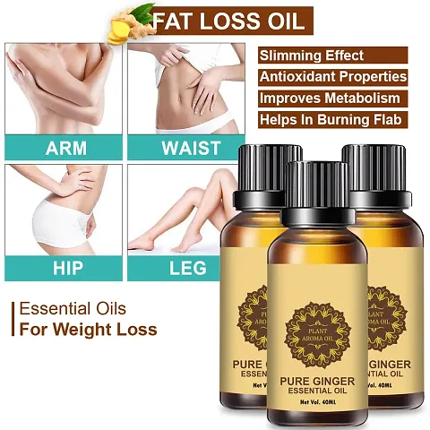 Ginger Essential Oil | Ginger Oil Fat Loss | For Belly Drainage Ginger Massage Oils For Belly / Fat Reduction Pack of 3