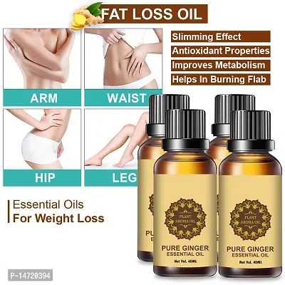 Ginger Essential Oil | Ginger Oil Fat Loss | Beauty Fat Burner Fat loss fat go slimming weight loss body fitness oil Shape Up Slimming Oil For Stomach, Hips  Thigh (40ML) (PACK OF 4)