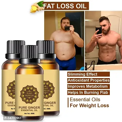 Ginger Essential Oil | Ginger Oil Fat Loss | Organics Herbal Fat Burner Fat loss fat go slimming weight loss body fitness oil Shape Up Slimming Oil For Stomach, Hips  Thigh (40ML) (PACK OF 3)