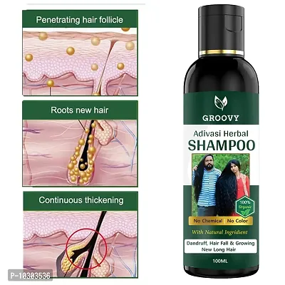 Neelambari Herbal Shampoo For Dandruff Control, Hair Regrowth And Hair Fall Control Shampoo - 100 Ml-thumb3