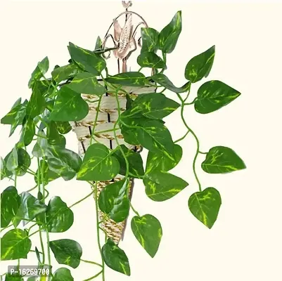 Artificial Wall Hanging Green Colour Money Plant Creeper for Decor of Home,Interior,Balcony,Office,Festival and Other Occasions (Pack of 4),120 Leaves, 7ft-thumb2