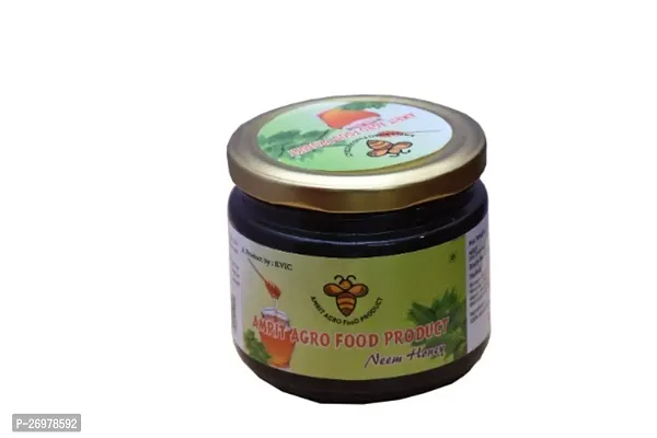 Amrit Agro Food product NEEM HONEY 400 g