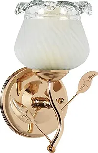 SR Lighting 40Watts Round Wall lamp with Metal Fitting and All Fixture (White)(Electric)-thumb1