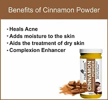 Cinnamon Powder (100 gm)-thumb2