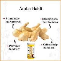 Amba Haldi Powder (100 gm)-thumb2