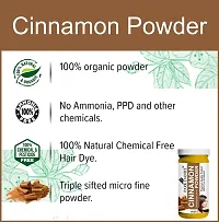 Cinnamon Powder (100 gm)-thumb3