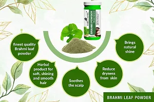 Brahmi Powder (100 gm)-thumb2