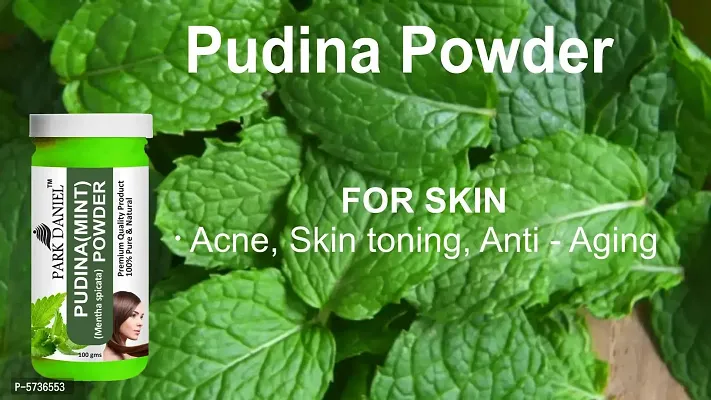 Ashwagandha Powder And Pudina(Mint)Powder -Pack   of 2 Jars (100 grams Each)-thumb5