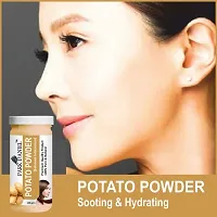 Park DanielTomato Powder And Potato Powder -Pack   of 2 Jars (100 grams Each)-thumb4
