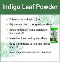 Tomato Powder And Indigo Leaf Powder -Pack   of 2 Jars (100 grams Each)-thumb4
