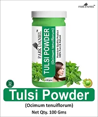 Pure And Natural Tulsi Powder And Ginger Powder Combo Pack of 2 Bottles of 100 gm (200 gm )-thumb1