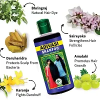 Elibliss Adivasi Shampoo Relieve Hair Loss  Dandruff, Promote Hair Growth-thumb1