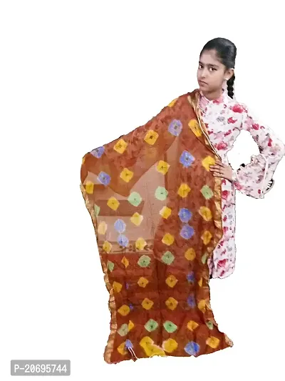 AZAD DYEING Women's Cotton Bandhej Dupatta (Multicolor)