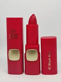 Hilary Rhoda Gorgeous Matte Colour Lipstick, Waterproof and Long-lasting lipstick fo 18hrs for Women  Girls(Blush Red)-thumb1