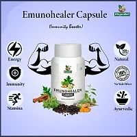 Divya Shri Emunohealer Capsule With Goodness of Natural Extracts of Ashwagandha, Helps Boost Immunity and Useful for Natural Body Strength, Stress Buster - (Pack of 60 Veg capsules)-thumb2