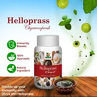 Divya Shri Helloprass Chawanprash | 3X Immunity Action | With 40+ Ayurvedic Herbs | Helps Build Strength  Stamina | Builds Overall Health-thumb3