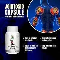 Divya Shri Jointosid Capsule Joint Support Supplement for Men  Women-thumb4