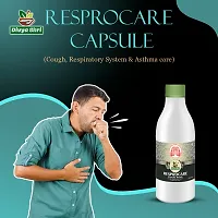 Divya Shri Ayurvedic Respocare Ayurvedic Cough Syrup For Improve Respiratory System With The Goodness Of Amla Karela Giloy Alovera | Asthma Relief Products- Pack Of 1 (500ml)-thumb2