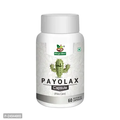 Divyashri Ayurvedic Piles Powder | Payolax powder - Fast Relieve In Bleeding, Burning  Pain | Bawasir Churn | Piles Care Powder | Ayurvedic Piles Care Powder For Unisex-thumb0