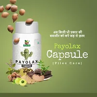 Divyashri Ayurvedic Piles Powder | Payolax powder - Fast Relieve In Bleeding, Burning  Pain | Bawasir Churn | Piles Care Powder | Ayurvedic Piles Care Powder For Unisex-thumb2