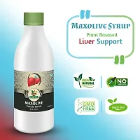 Divya Shri Maxolive Syrup | 100% Ayurvedic and Natural Liver Tonic with Ancient Formula 500 Ml-thumb2