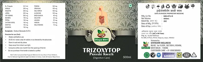 Divya Shri Trizoxytop Syrup 500ml | Stimulates the immune system Digestion Immunity Support | Stimulate Digestion-thumb3