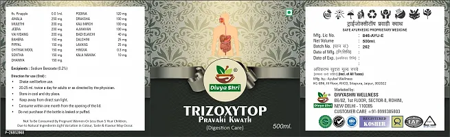 Divya Shri Trizoxytop Syrup 500ml | Stimulates the immune system Digestion Immunity Support | Stimulate Digestion-thumb4