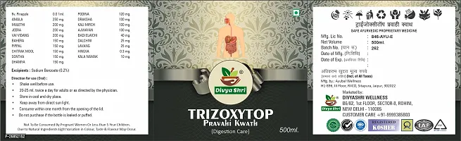 Divya Shri Trizoxytop Syrup 500ml | Ayurvedic Tonic for Digestion, Acidity, Constipation and Gas Relief, Helps Improve Digestive Immunity-thumb4