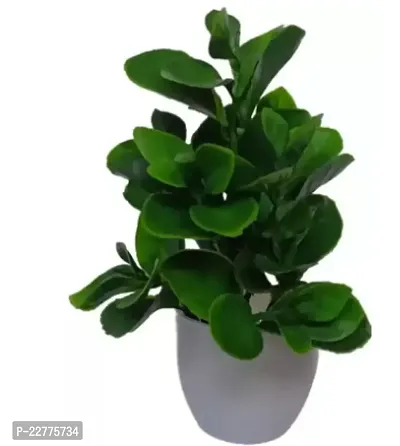 Artificial Plant For Home Decoration-thumb0