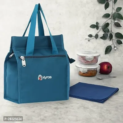 Kyros Lunch Bags For Men  Women Kids  Girls Picnic tiffin bags