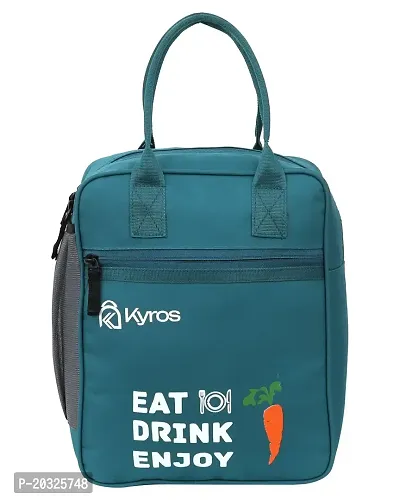 Kyros Lunch Tiffin Bags For Men  Women Kids  Girls Picnic tiffin bags-thumb4