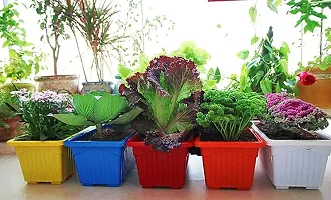 Multicolor | Rectangular | Plastic Pots for Plants | Pack  of 6 | 35 x 18.5 x 15 cm-thumb2