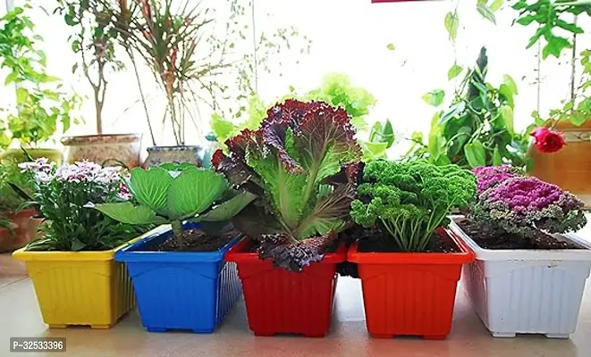 Multicolor | Rectangular | Plastic Pots for Plants | Pack  of 6 | 35 x 18.5 x 15 cm-thumb3