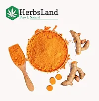 HerbsLand reg; Pure Organic Wild Kasturi Turmeric, Neem Leaf, Orange Peel and Rose Petal Powder for Fairness and Skin Whitening (100gm Each - 400 gm)-thumb1