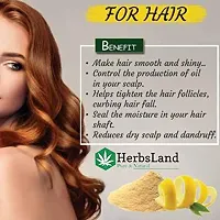 HerbsLandreg; 100% Natural  Bio Organic Lemon Peel Powder (Citrus Limonum) | Goodness of Vitamin C | Face Cleanser | Skin Whitening | Face Mask | Skin Care | Hair Pack (200 gm)-thumb1