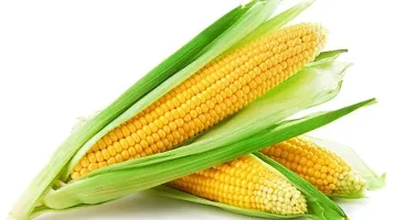 Natural Organic Corn Maize Rava, 500 gm-thumb2