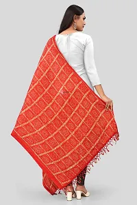 SINANI Chinon silk Traditional multicolored dupatta for girls and womens,silk bandhej dupatta (Red)-thumb4