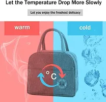 Insulated Multicoloured Lunch Bag Leakproof Wide Open Tote Bag Lunch Box Container-thumb1