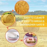 GYANVI Unbreakable Wheat Straw Plates Set of 4 - Dishwasher  Microwave Safe - Perfect for Dinner Dishes - Healthy, BPA Free  Eco-Friendly/Kids-Toddler (Adult) (7.8 Inches)-thumb2