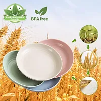 GYANVI 4 Pcs Lightweight Wheat Straw Plates - Unbreakable Dinner Plates - Reusable Plate Set Dishwasher  Microwave Safe - Perfect for Dinner Dishes (Green)-thumb2