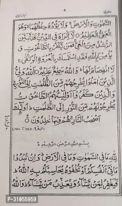 Pakistani Punj Surah Urdu {488}-thumb4