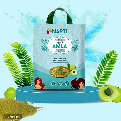 Classic Amla Reetha Shikakai Powder 500Gpack Of 3-thumb2