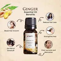 NARTI Ginger Essential Oil Pure  Natural Undiluted For Therapeutic Grade and belly fat burner, Acne  Wrinkles 30 ML ginger oil-thumb1