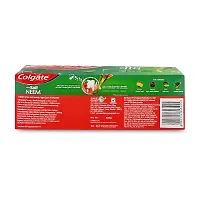 Colgate Active Salt Neem Toothpaste - 400g (Family Pack)-thumb2