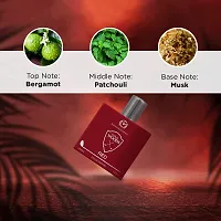 The Man Company EDP For Men 100ml Polo Red | Premium Perfume | Long-lasting Fragrance | Perfect For Men | Citrusy, Earthy and Woody | Made With Essential Oils-thumb2