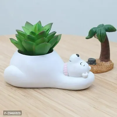 Cute Shaped Sleeping  Bear Meaty Succulent Pot Mini without plant