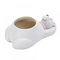 Cute Shaped Sleeping  Bear Meaty Succulent Pot Mini without plant-thumb2