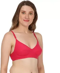 Stylish  Hosiery  Solid Bras For Women PACK OF Single-thumb2