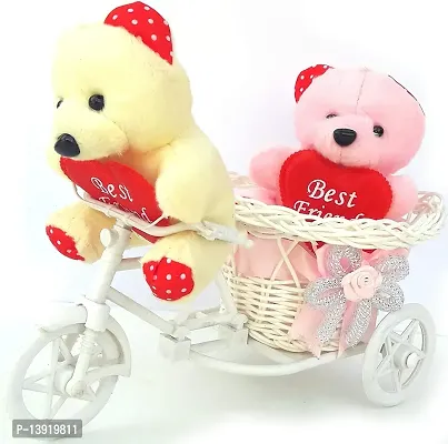 Urvi Creations Teddy Bear on Cycle for Valentines Day (2 Pieces)